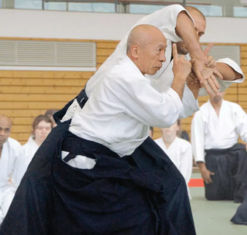 Osawa Hayato Shihan
