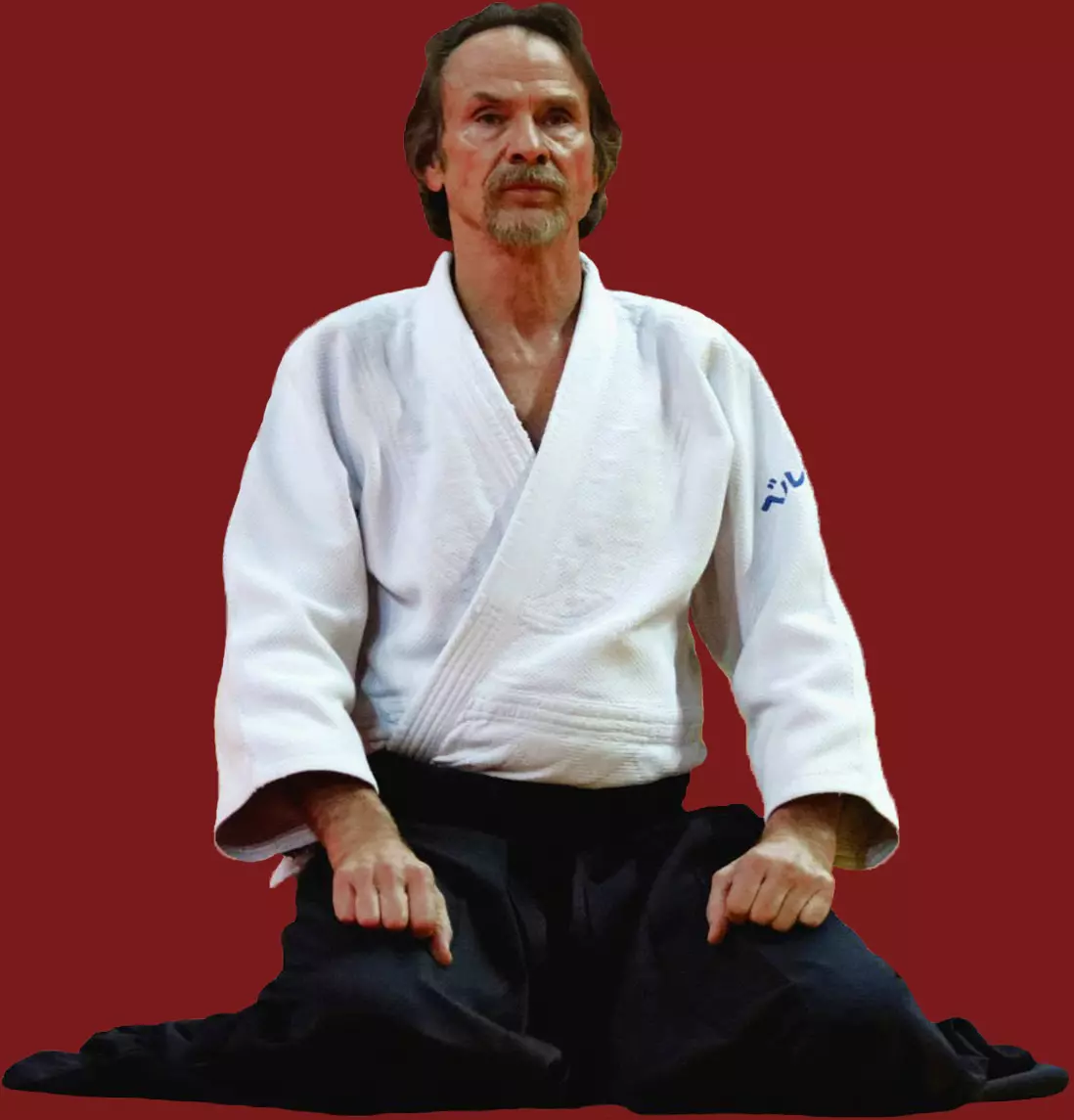 Bernard Palmier Shihan